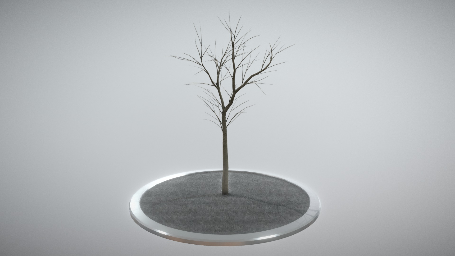 3D model Rowan Tree – Sorbus-Aucuparia – 4m –  Winter - This is a 3D model of the Rowan Tree - Sorbus-Aucuparia - 4m -  Winter. The 3D model is about a tree on a round object.
