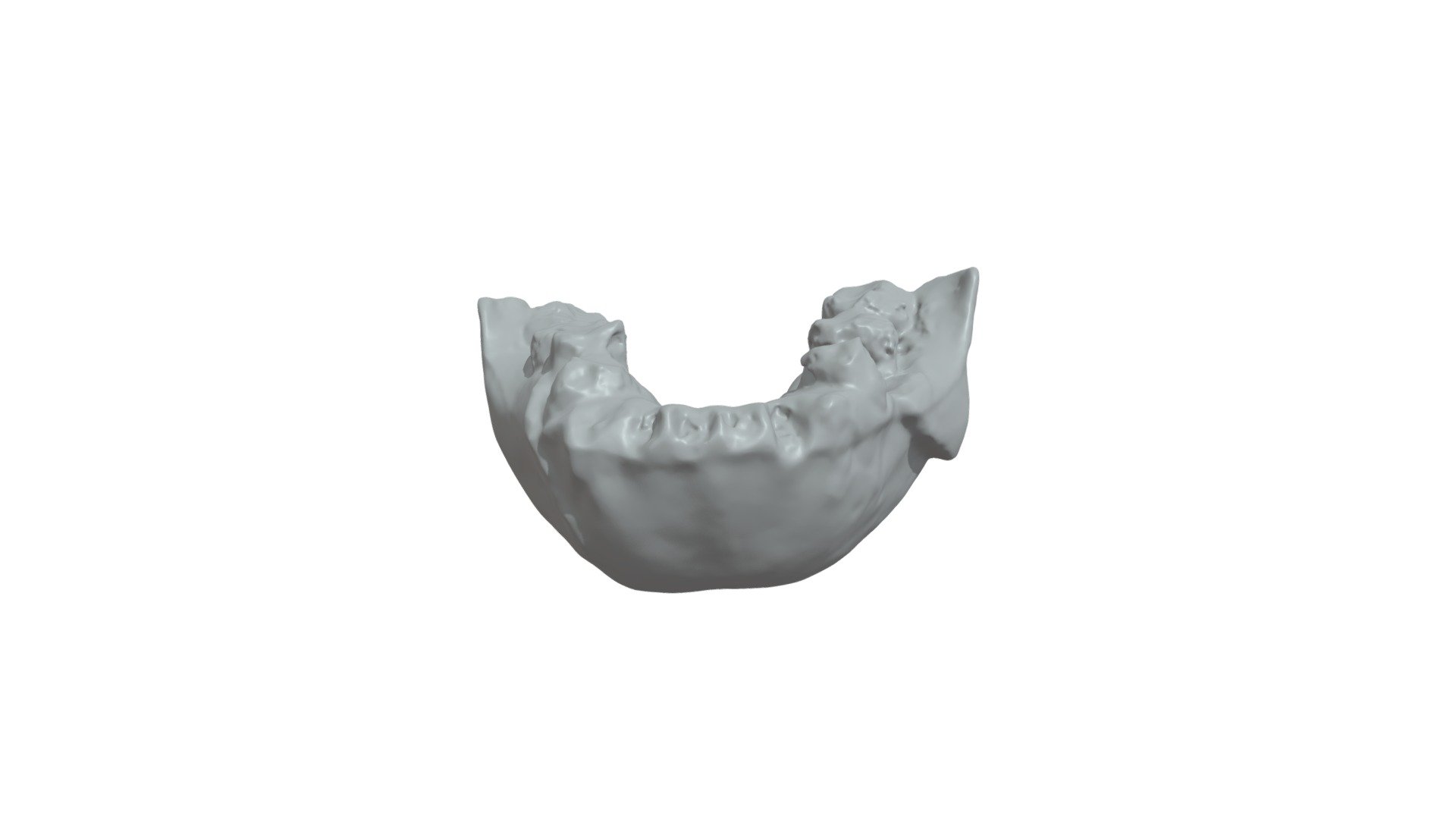 Mandible 1