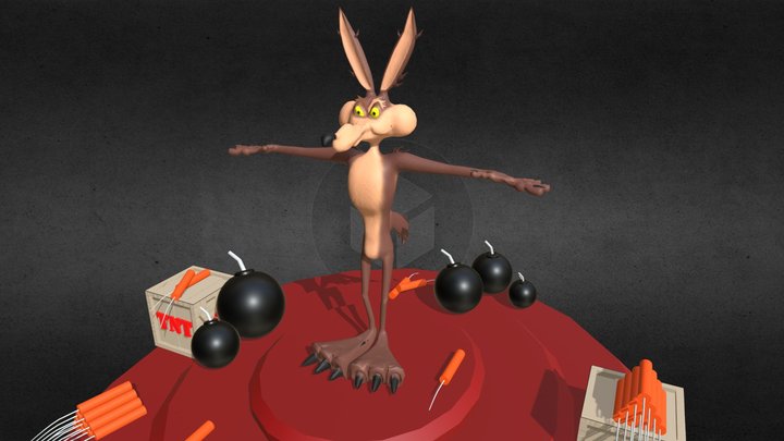 COYOTE -Modelo Alejandra Tamayo Rivera 3D Model