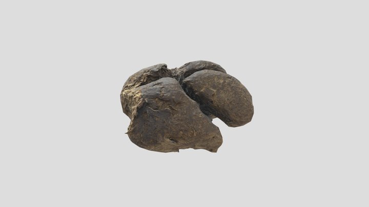 Dung01 3D Model
