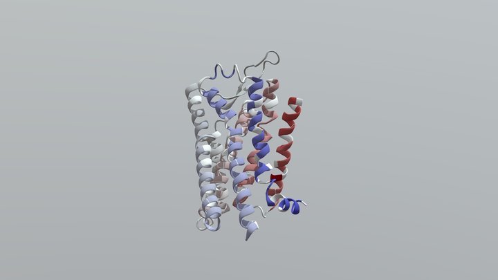 G Protein-Coupled Receptor 3D Model
