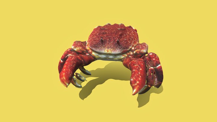 king crab 3D Model