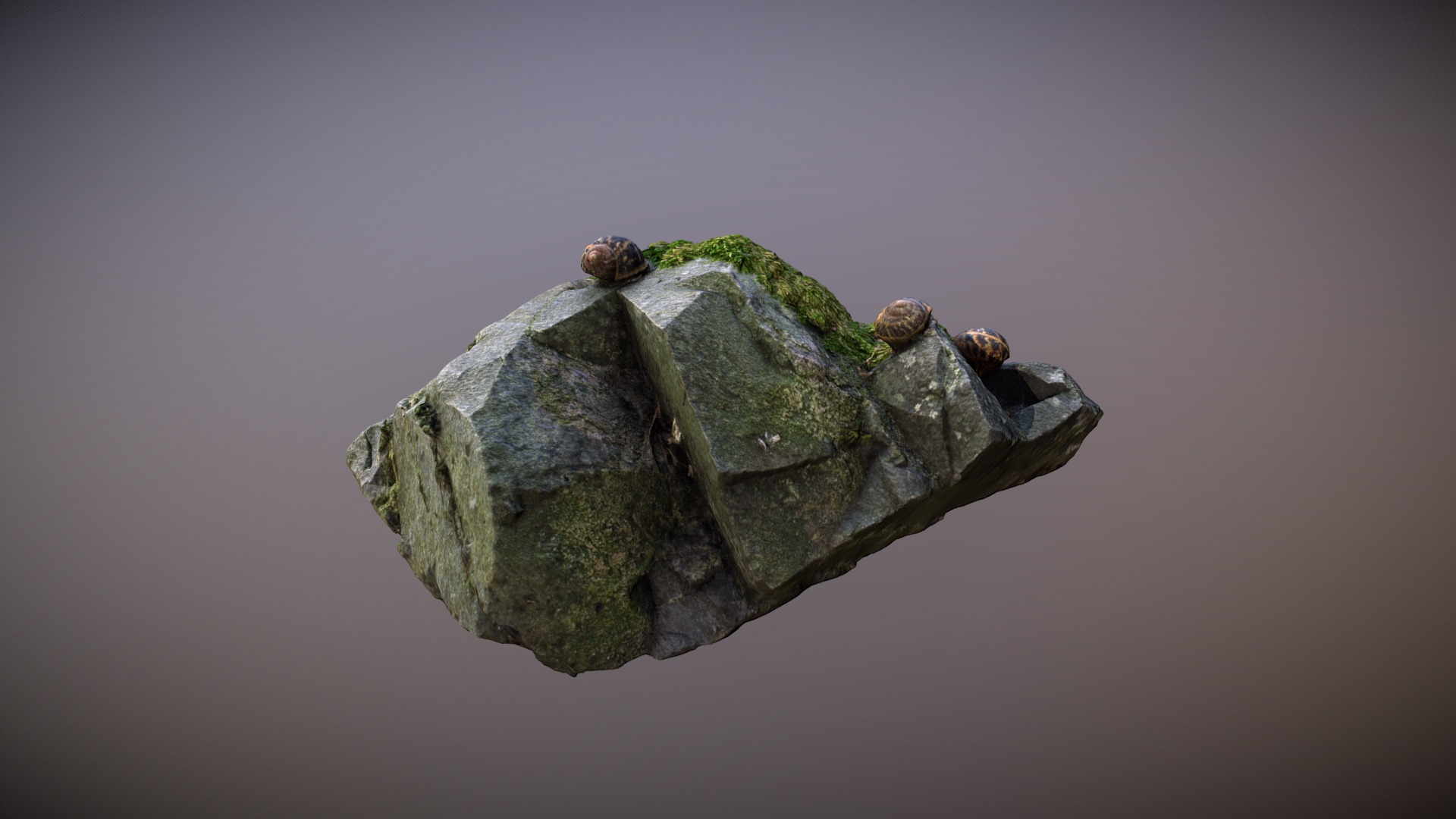 3D model Snails on Mossy Rock - This is a 3D model of the Snails on Mossy Rock. The 3D model is about a rock with a couple of small turtles on top.