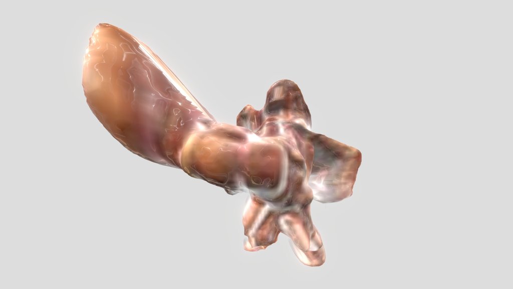 Flesh Camera Animated1
