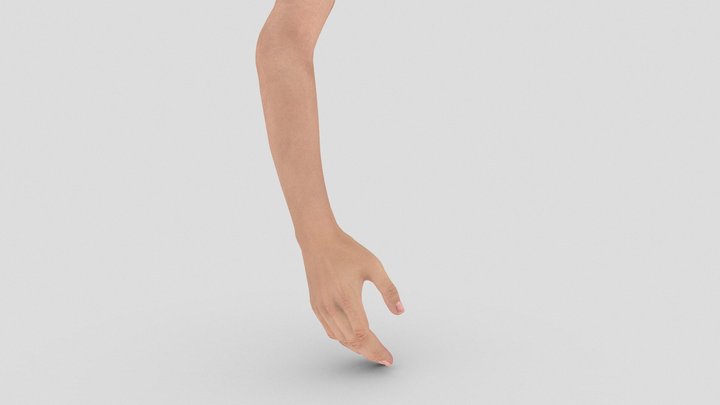 Female Hand Gesture - Idle 3D Model