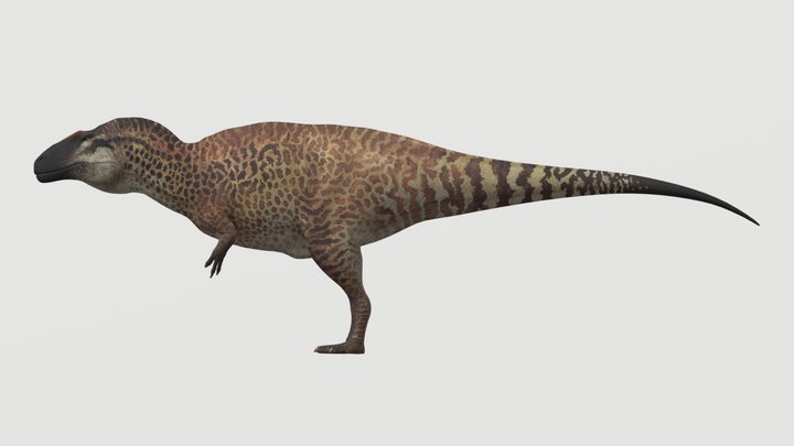 Accurate Acrocanthosaurus – Free 3D Model STL