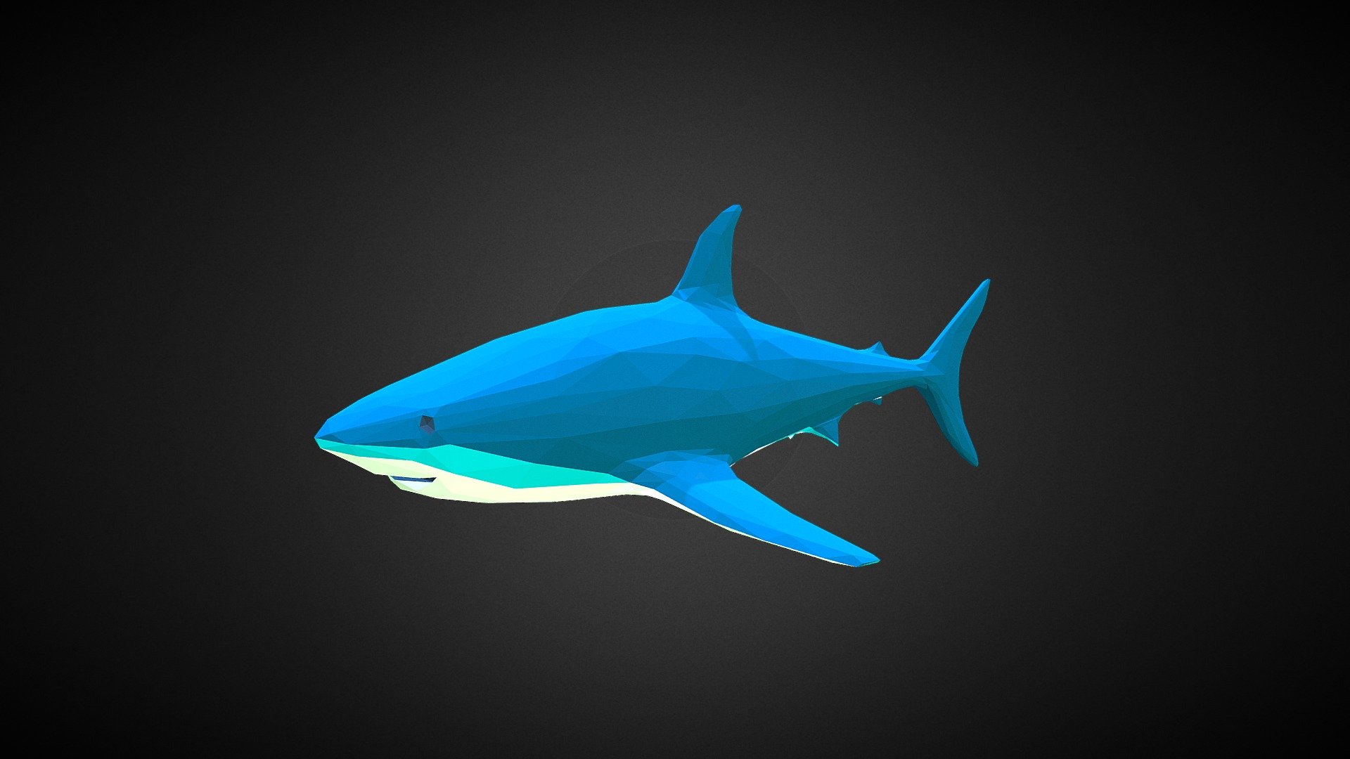 Shark - Download Free 3D model by AdrianXY [dc7503c] - Sketchfab