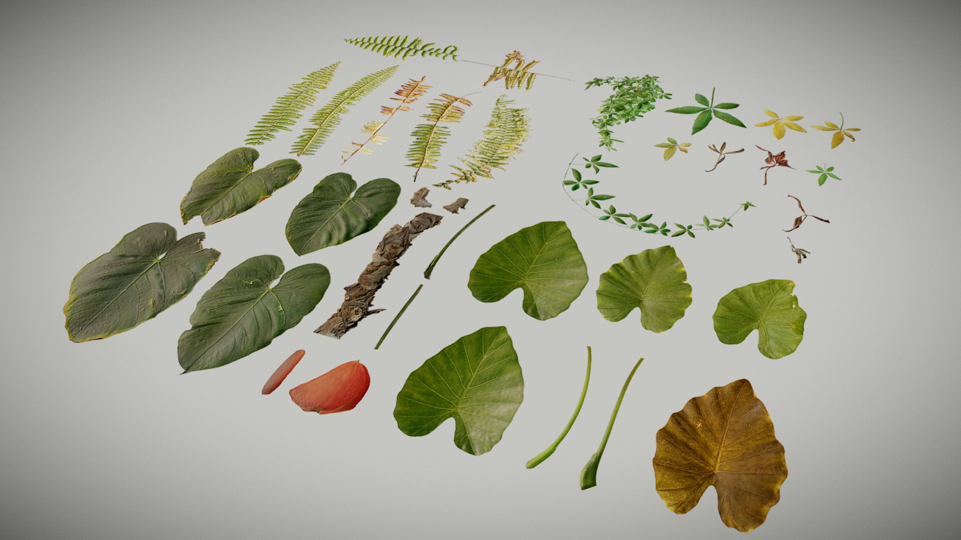 3D model Atlases (Tropical Plants) No. 1 - This is a 3D model of the Atlases (Tropical Plants) No. 1. The 3D model is about shape.