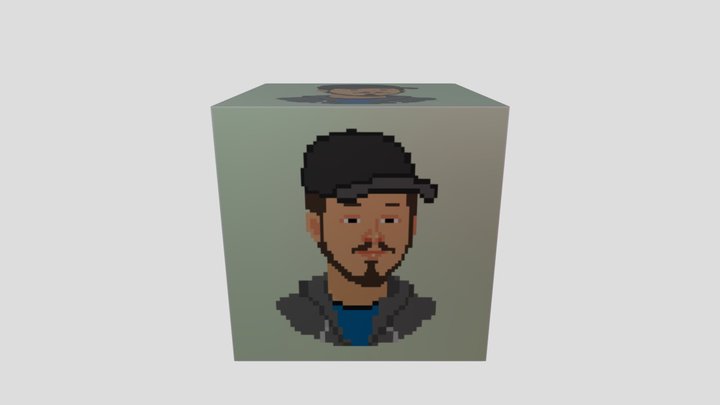 Pixel Self Portrait Cube 3D Model