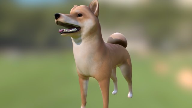 Shiba Inu 3D Model