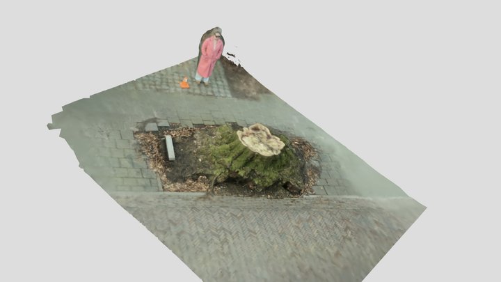 stronk 2 3D Model