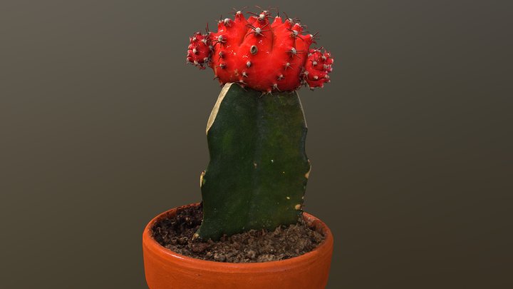 Just Shapes And Beats - Cactus/Plant - 3D model by Reerstheeepic  (@Reihedgehog) [8664621]