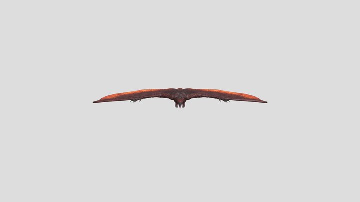 Titanus Rodan 3D Model