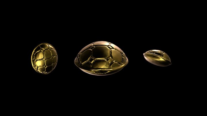 Shell (Nature) 3D Model