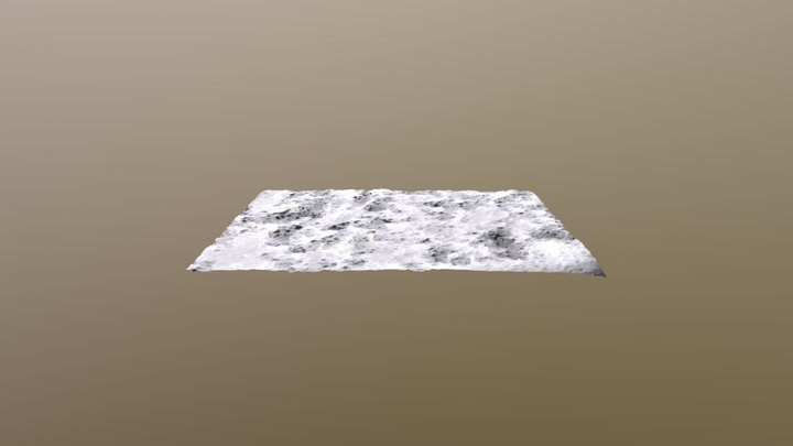 Basilosaurus 3D Model