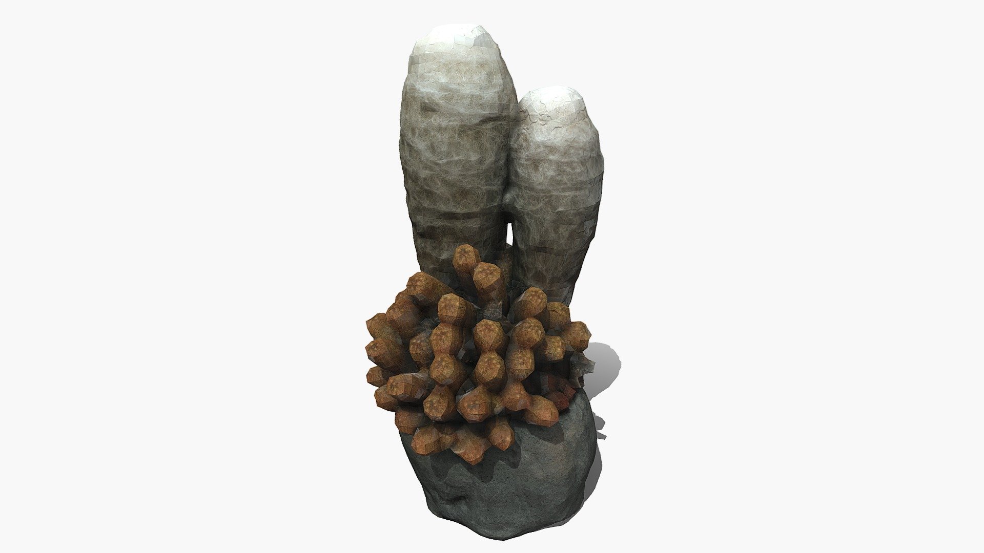 Hairy Cactus in a Pot | Photogrammetry Scan
