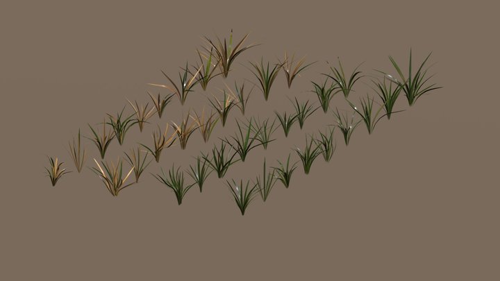 Green and dry grass 3D Model