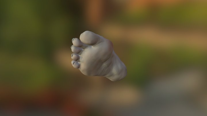 My Sketchfab Mesh 3D Model
