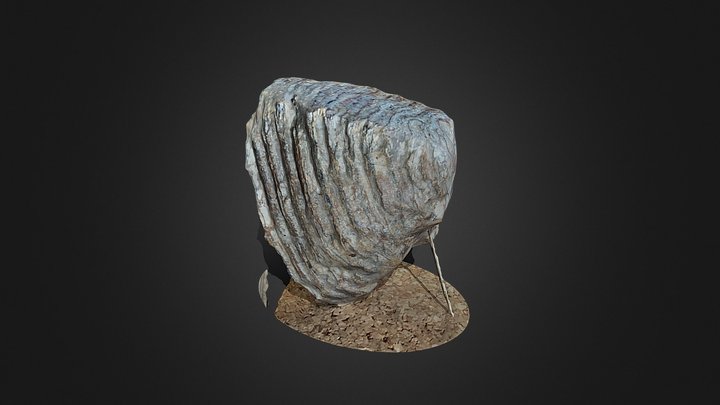 Woolly Mammoth Tooth – Modello 3D gratuito STL