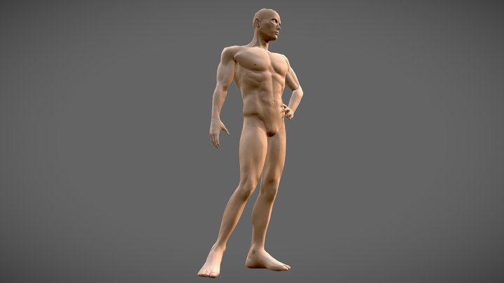 Human Male (GameRes With Skin) 3D Model