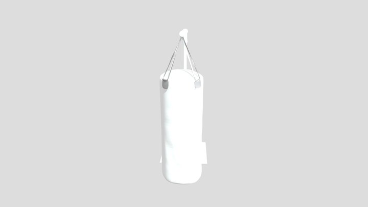 Punch bag 3D Model