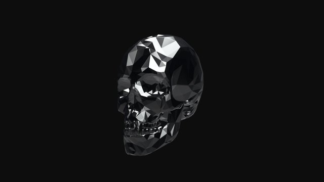 Triangulated Skull 3D Model