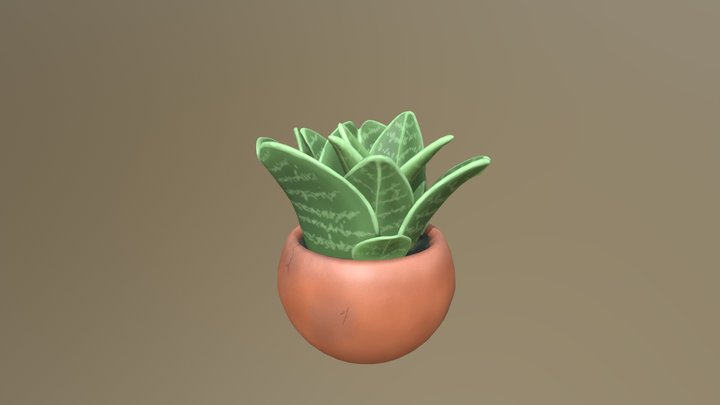 Aloe 3D Model