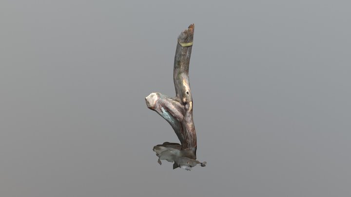 Winding Tree 3D Model