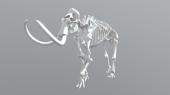Wolly_mammoth 3D models - Sketchfab