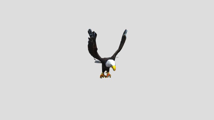 Aguila 369 3D Model