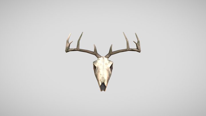 Deer Skull 3D Model