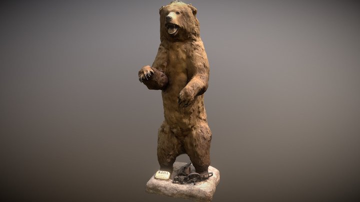 Kodiak Bear 3D Model