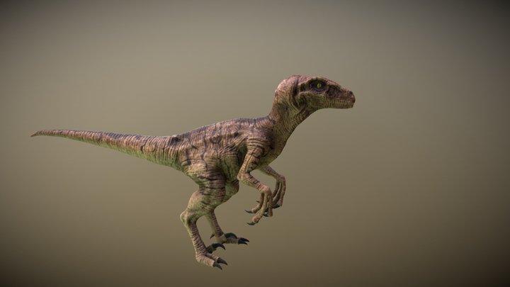 Game-Ready Velociraptor 3D Model 3D Model