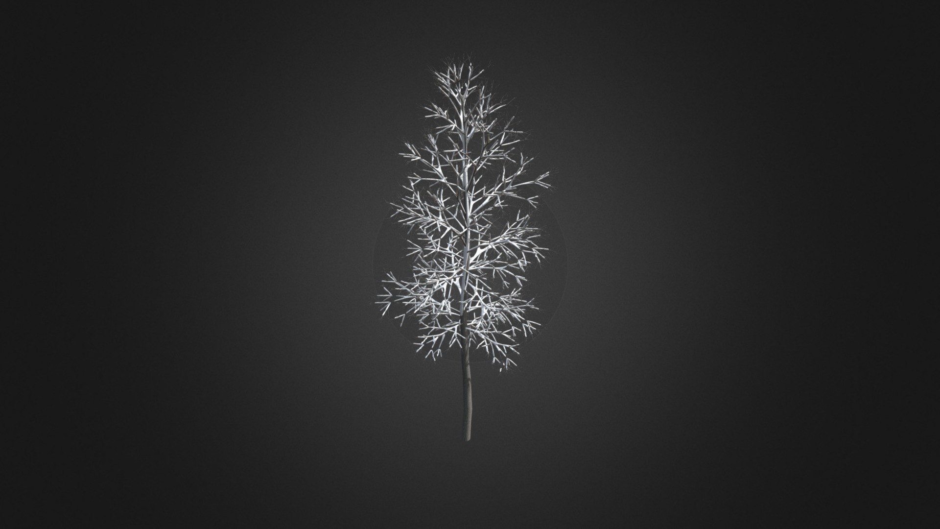 3D model American Elm with Snow 3D Model 3.3m - This is a 3D model of the American Elm with Snow 3D Model 3.3m. The 3D model is about a tree with white lights.