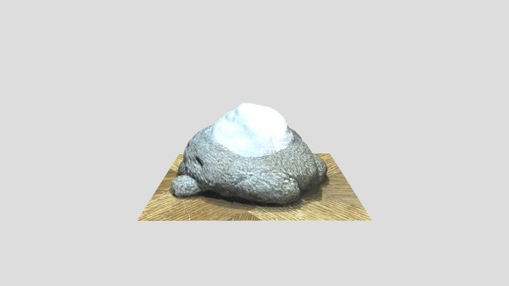Basic Photogrammetry Project 3D Model