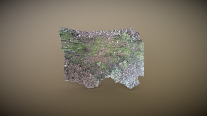 Rock Terrain - 3D Model - Photogrammetry 3D Model