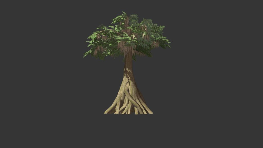 Great Bald Cypress