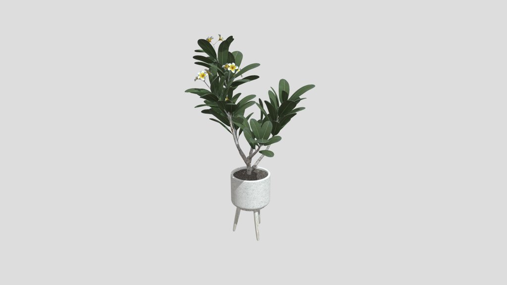 Elegant Frangipani Corner Planter
