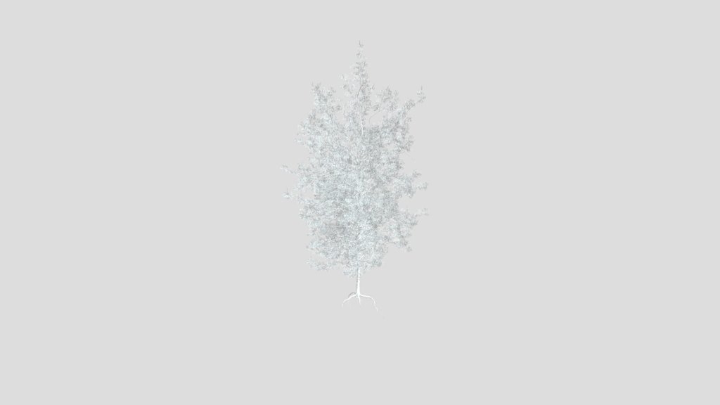 Sj Optimized Pine Tree Model