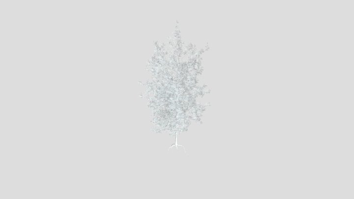 Sj Optimized Pine Tree Model – Modèle 3D gratuit STL