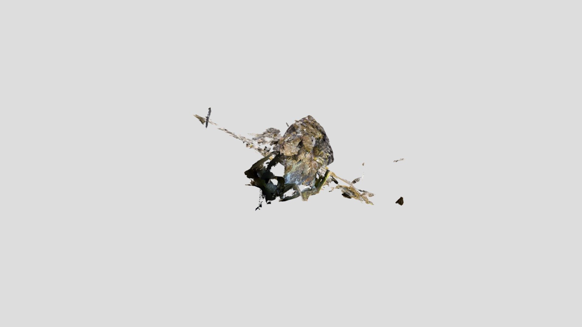 first bldr
