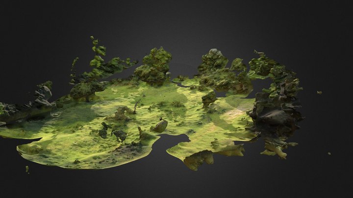 Maculinea arion site - Cuneo (Italy) 3D Model