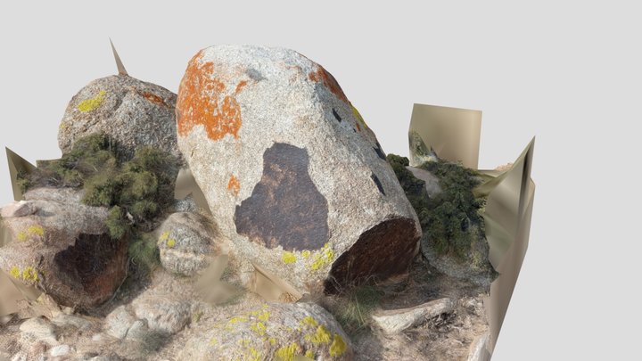 Petroglyph 11-050 Ornok Issyk-Kul Kyrgyzstan 3D Model