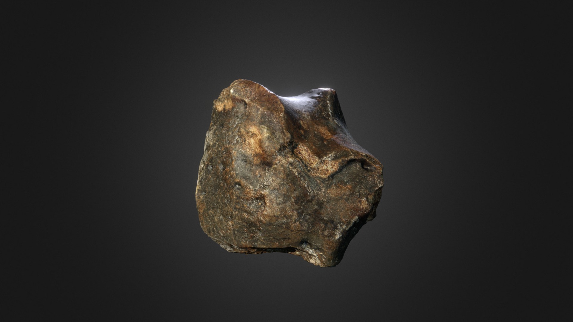 3D model Woolly Rhino Wristbone - This is a 3D model of the Woolly Rhino Wristbone. The 3D model is about a rock with a dark background.