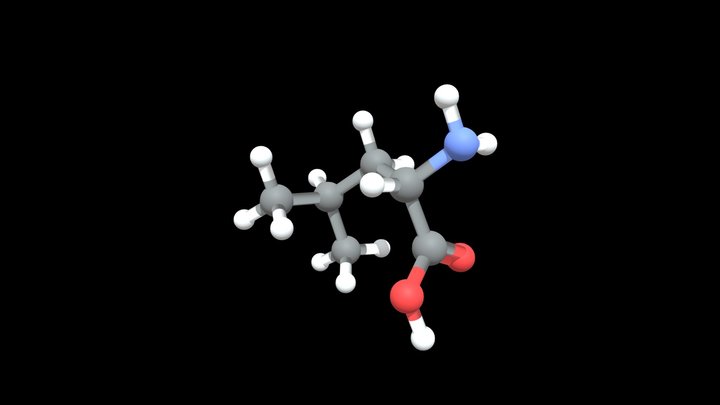 Leucine – Kostenloses 3D-Modell STL