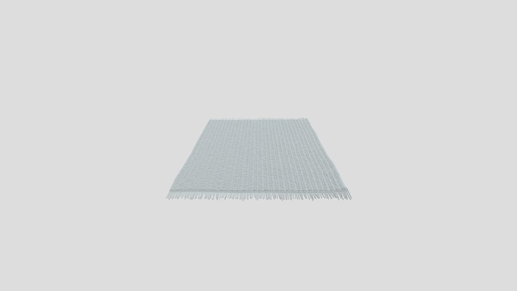 Fringed Rug