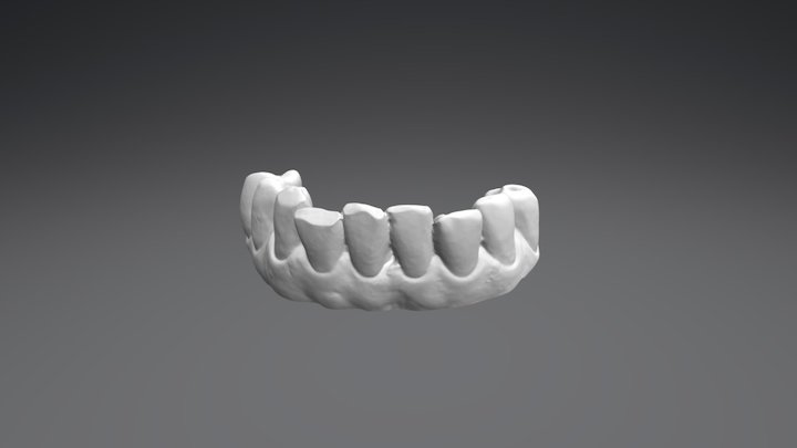 Manuela Lower Jaw 3D Model