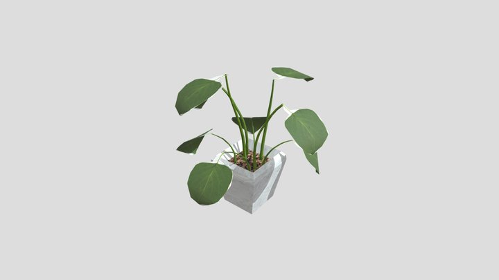 WK8_Plant 3D Model