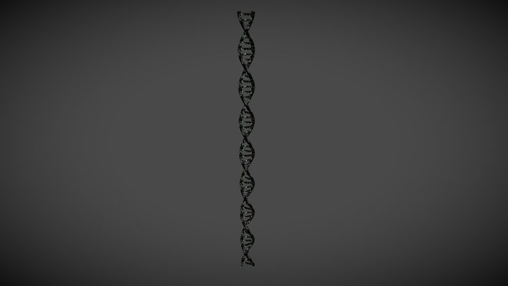 DNA Helix - Containment 3D Model