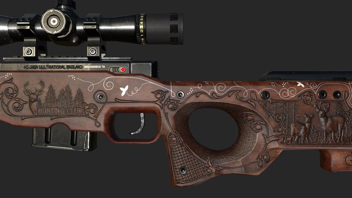 Awp -hunter 3D Model